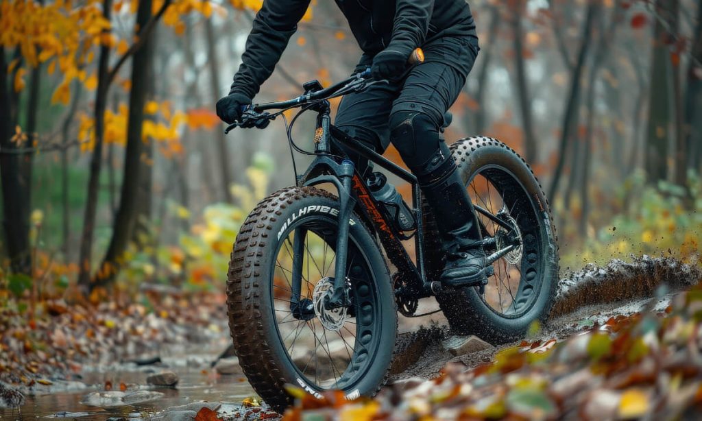 what are fat bikes