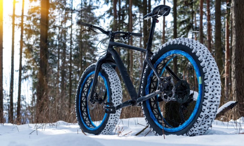 what are fat bikes